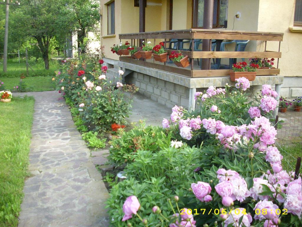 Villa Рибариця Екстер'єр фото