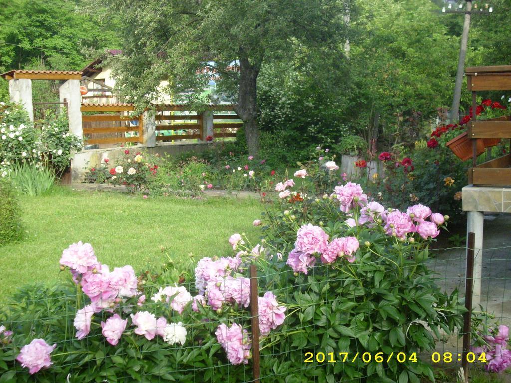 Villa Рибариця Екстер'єр фото