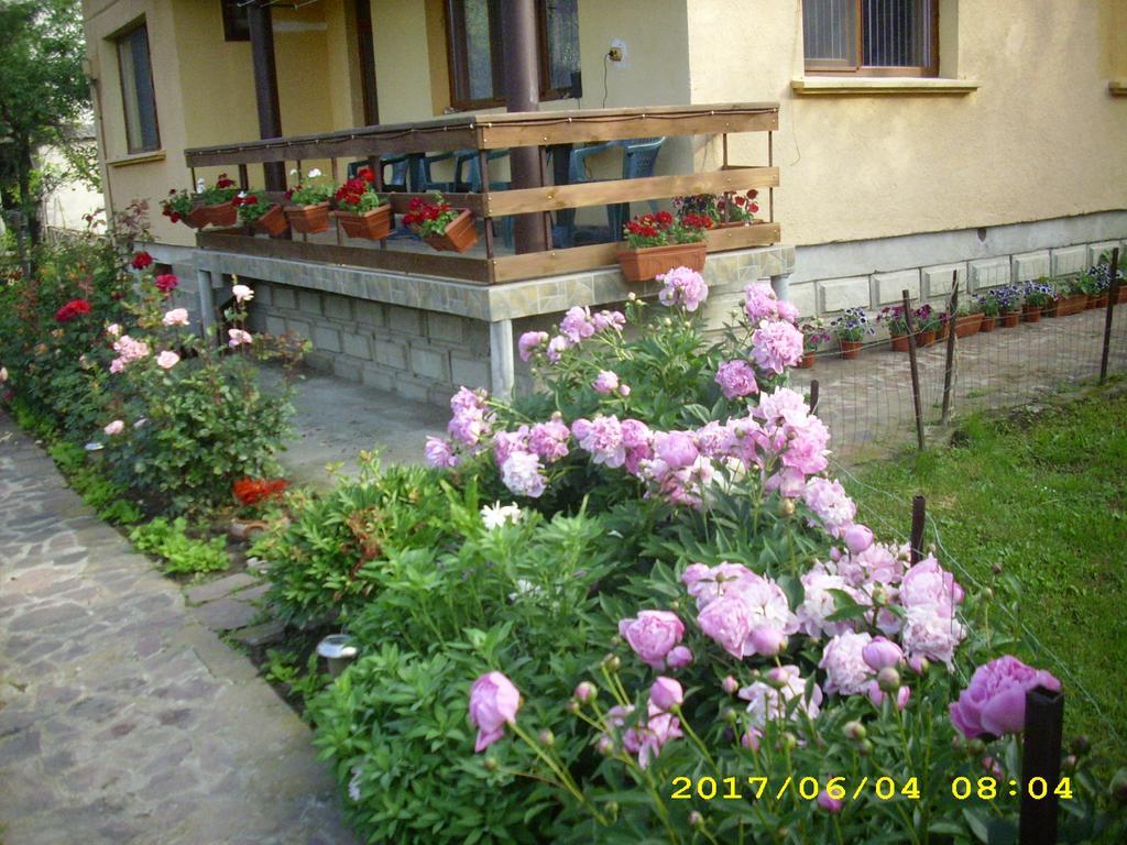 Villa Рибариця Екстер'єр фото