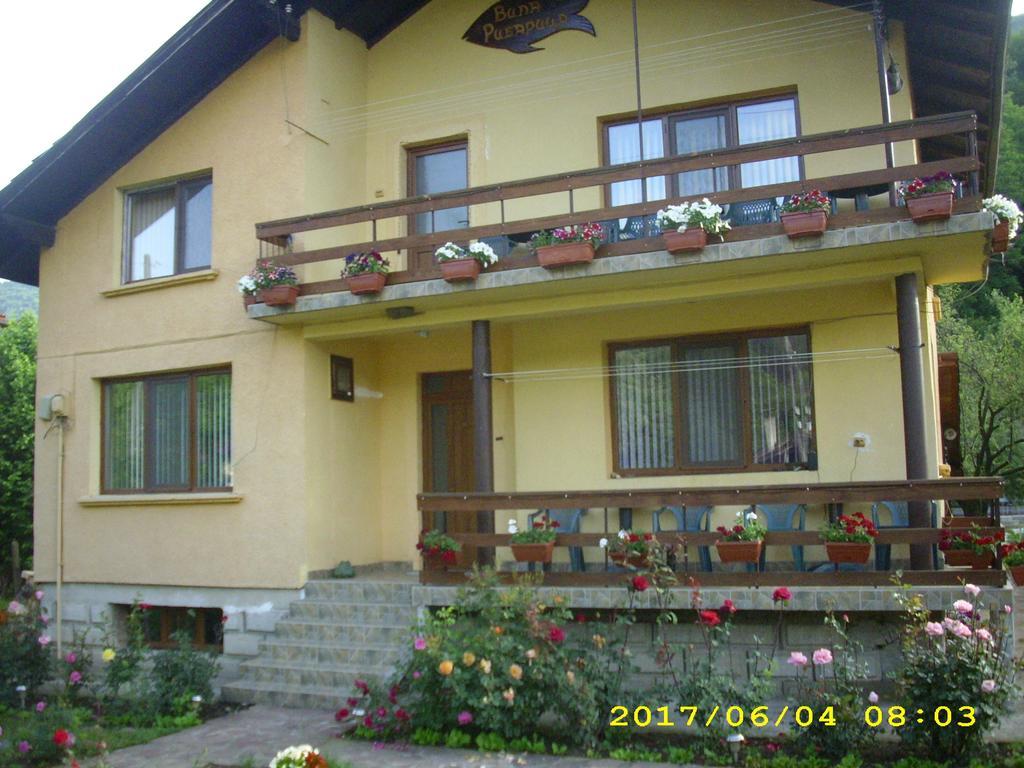 Villa Рибариця Екстер'єр фото