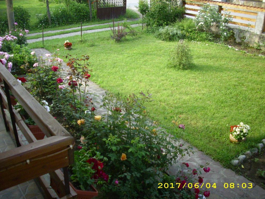 Villa Рибариця Екстер'єр фото
