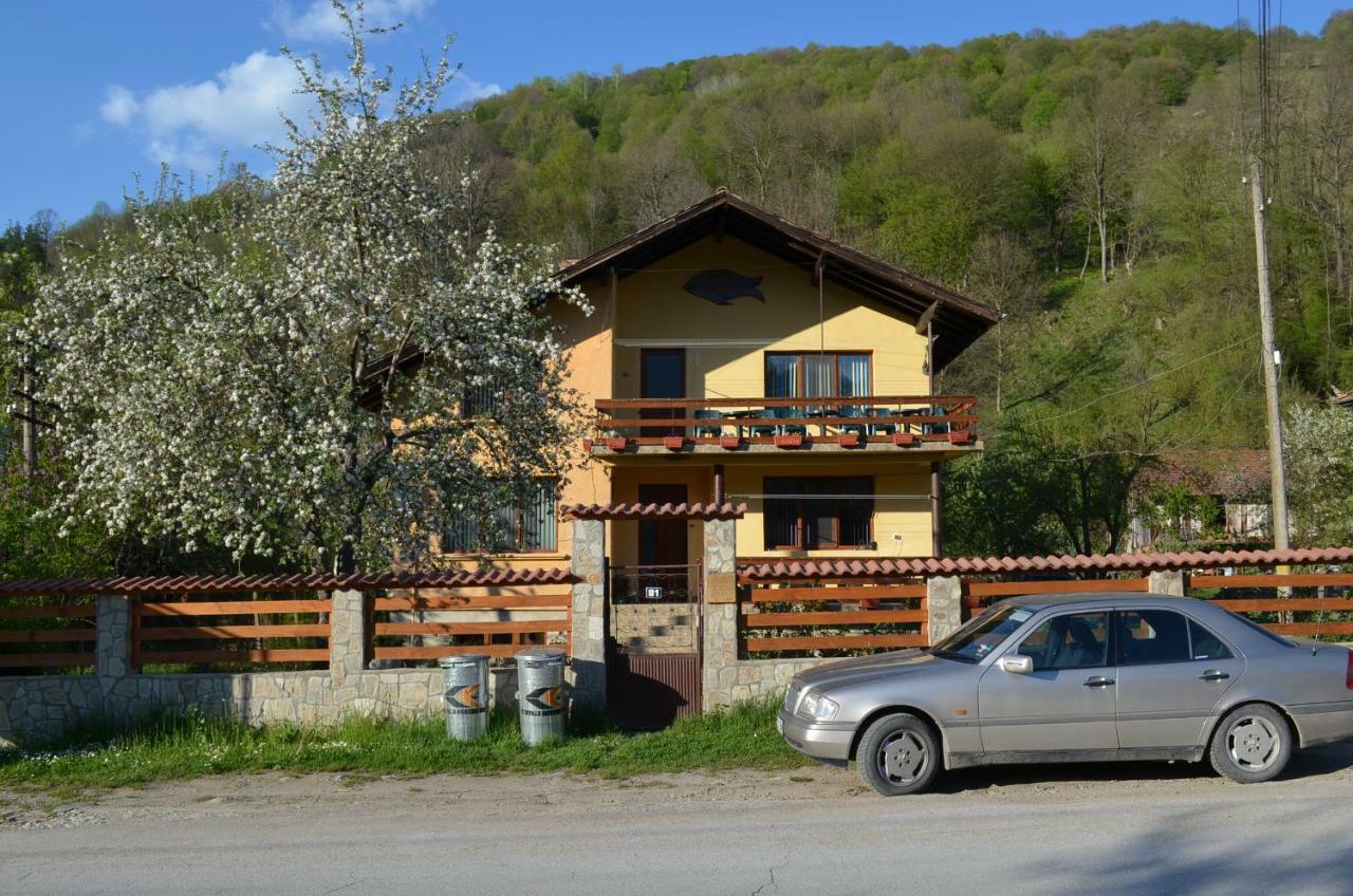 Villa Рибариця Екстер'єр фото